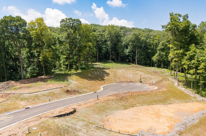 1695 Hyneman Ct, Brentwood, TN
