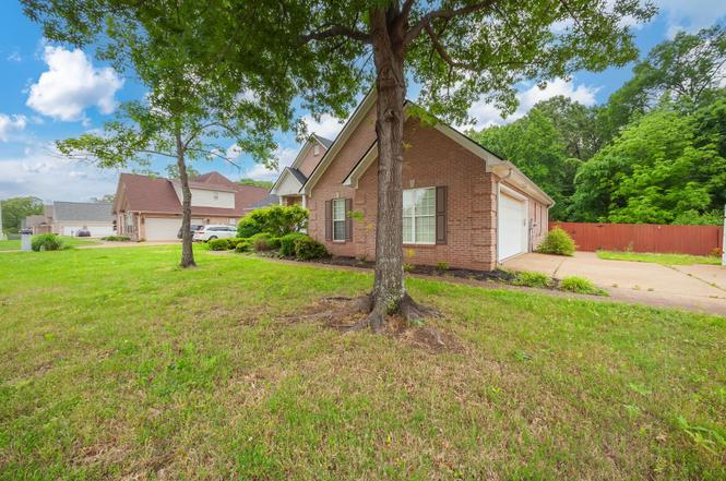 14 Brookhollow Cv, Jackson, TN