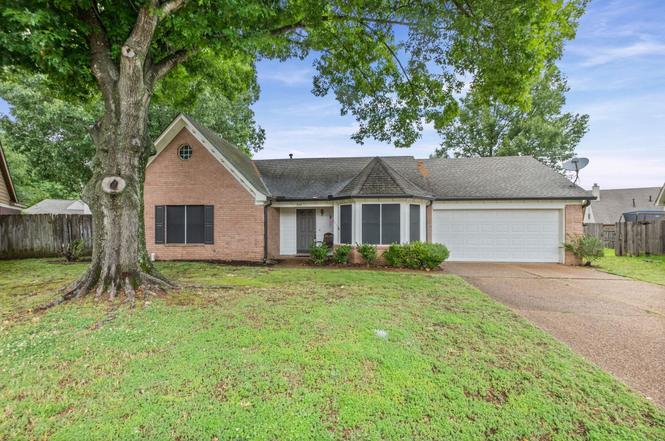 252 Summit View Cv, Collierville, TN