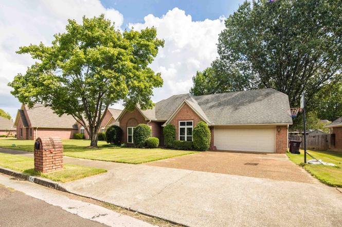 954 Wildbird Cv, Collierville, TN