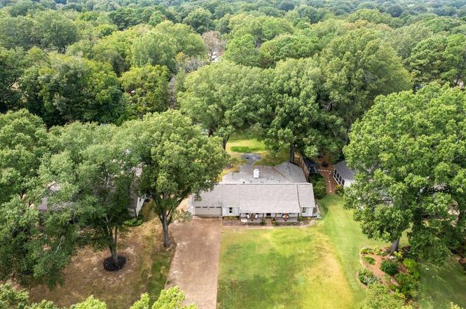 281 Briarbrook Cv, Collierville, TN