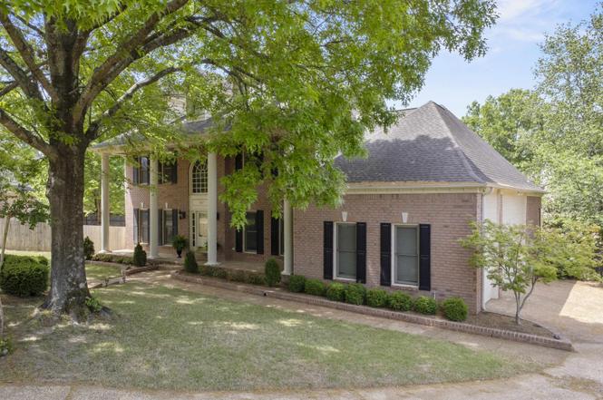687 Windy Knoll Cv, Collierville, TN