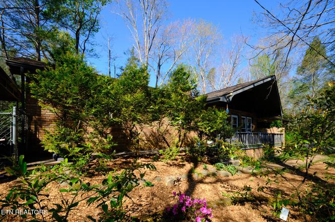 543 Reba Ln, Gatlinburg, TN
