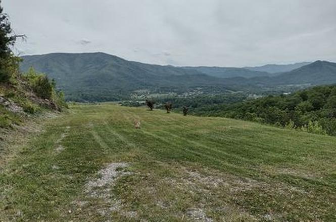 2707 Indigo Ln, Sevierville, TN
