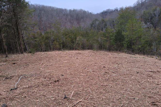 798 Fairgarden Cir, Sevierville, TN