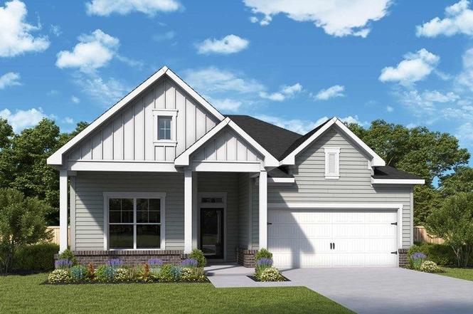 Ginger Plan, Smyrna, TN